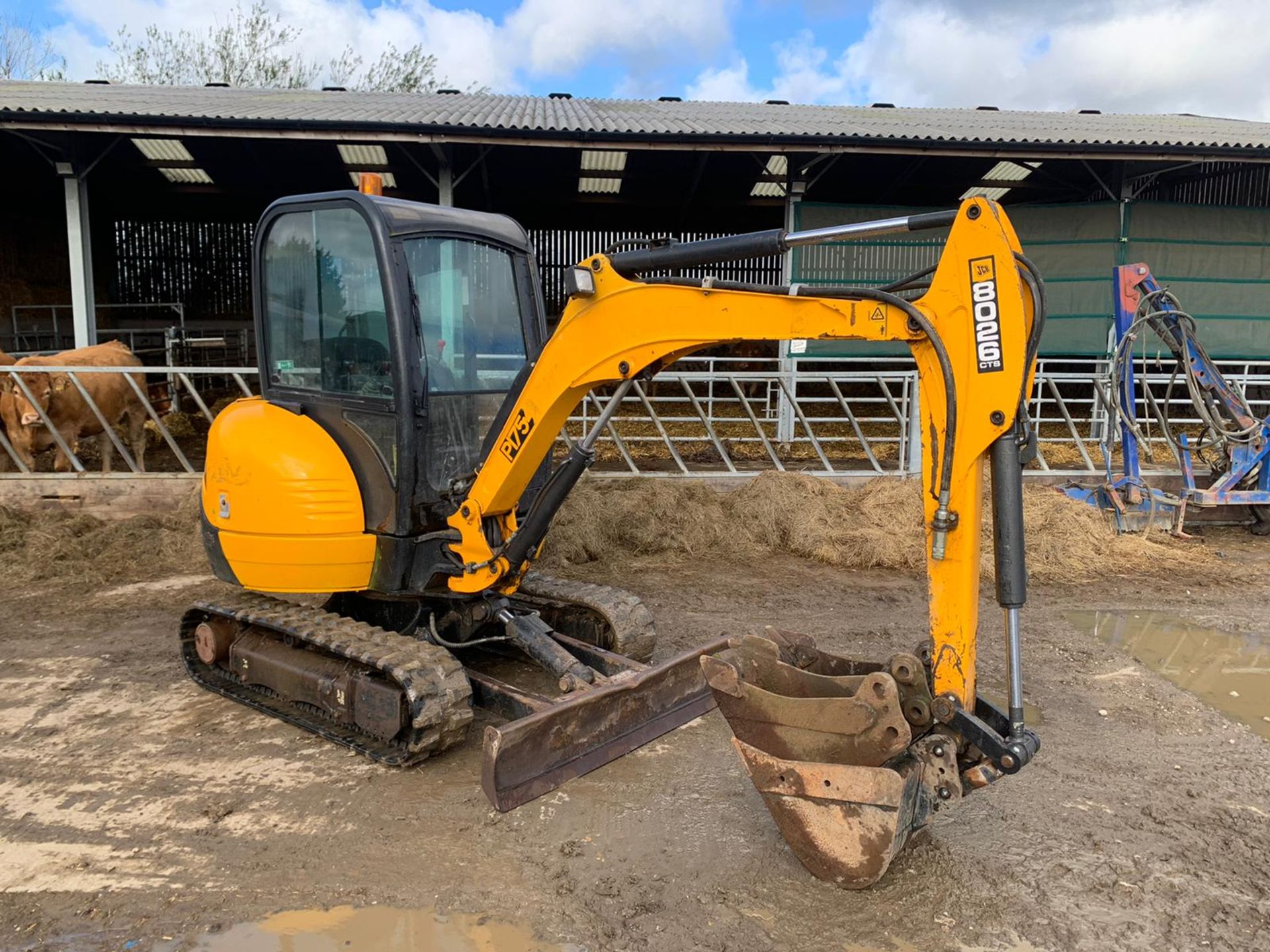 2013 JCB 8026 2.6 TON DIGGER, RUNS DRIVES AND DIGS, SHOWING A LOW AND GENUINE 3379 HOURS *PLUS VAT* - Image 2 of 49