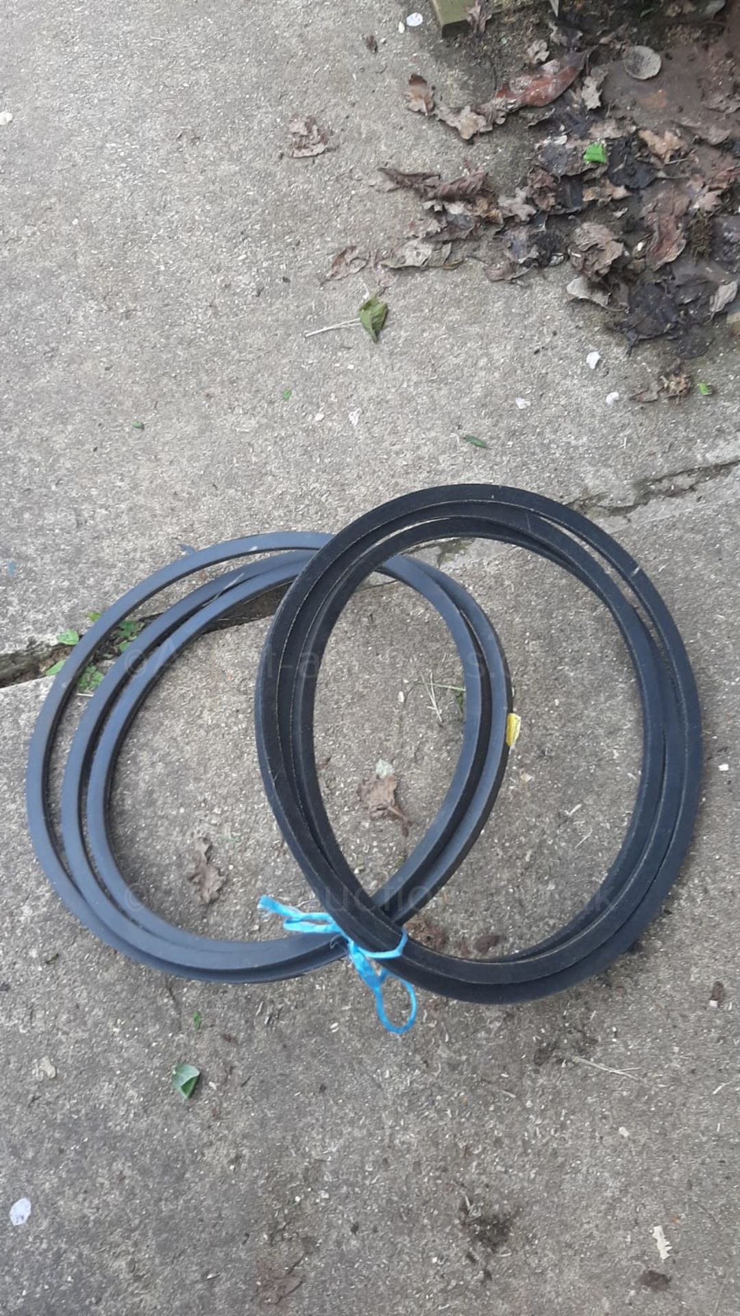 1 X OPTIBELT DRIVE BELT V-BELT SPB 3550 *NO VAT* - Image 2 of 6