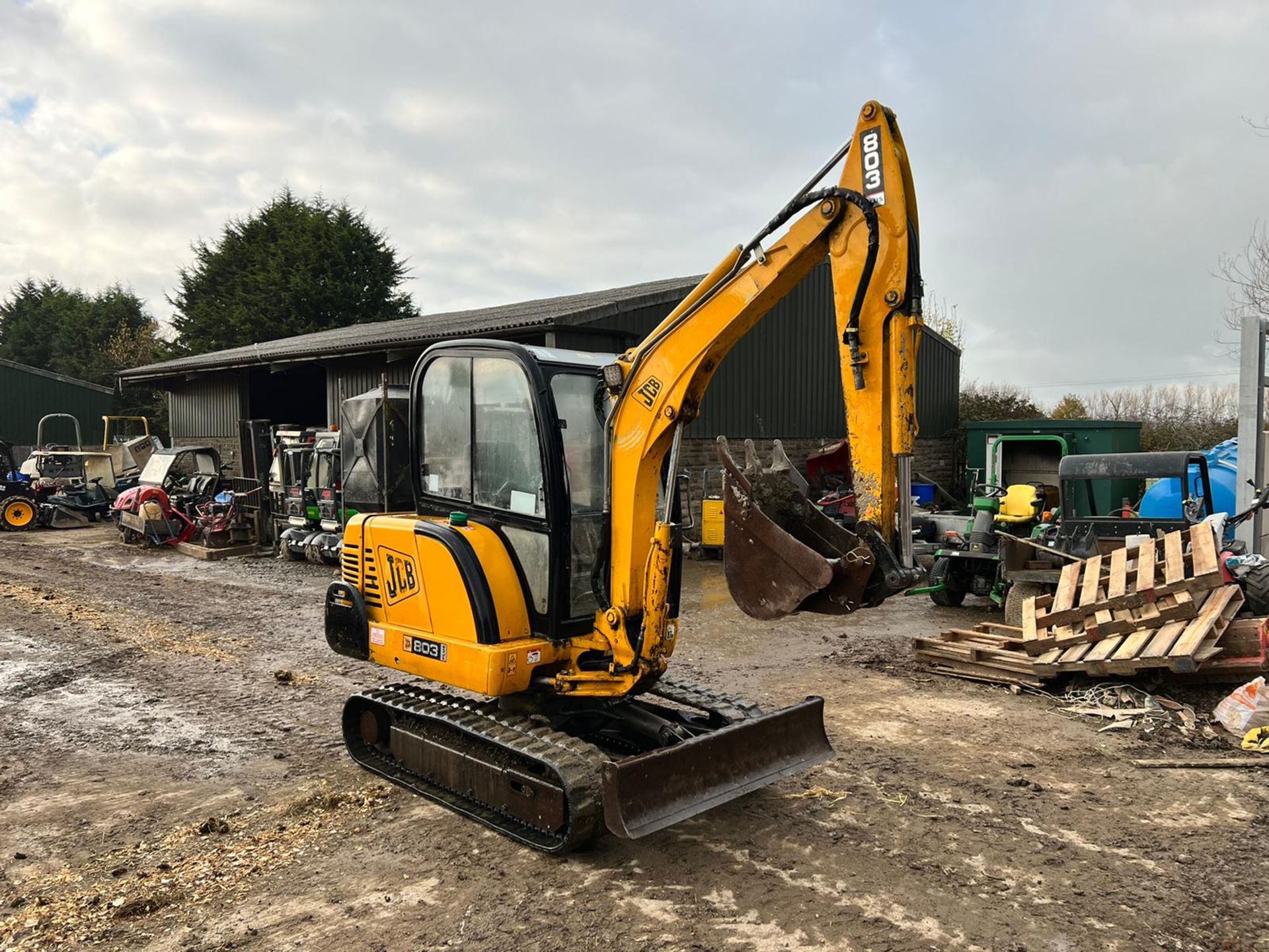 2003 JCB 803 PLUS 3 TON MINI DIGGER, RUNS DRIVES AND DIGS, FULLY CABBED, GOOD SET OF TRACKS