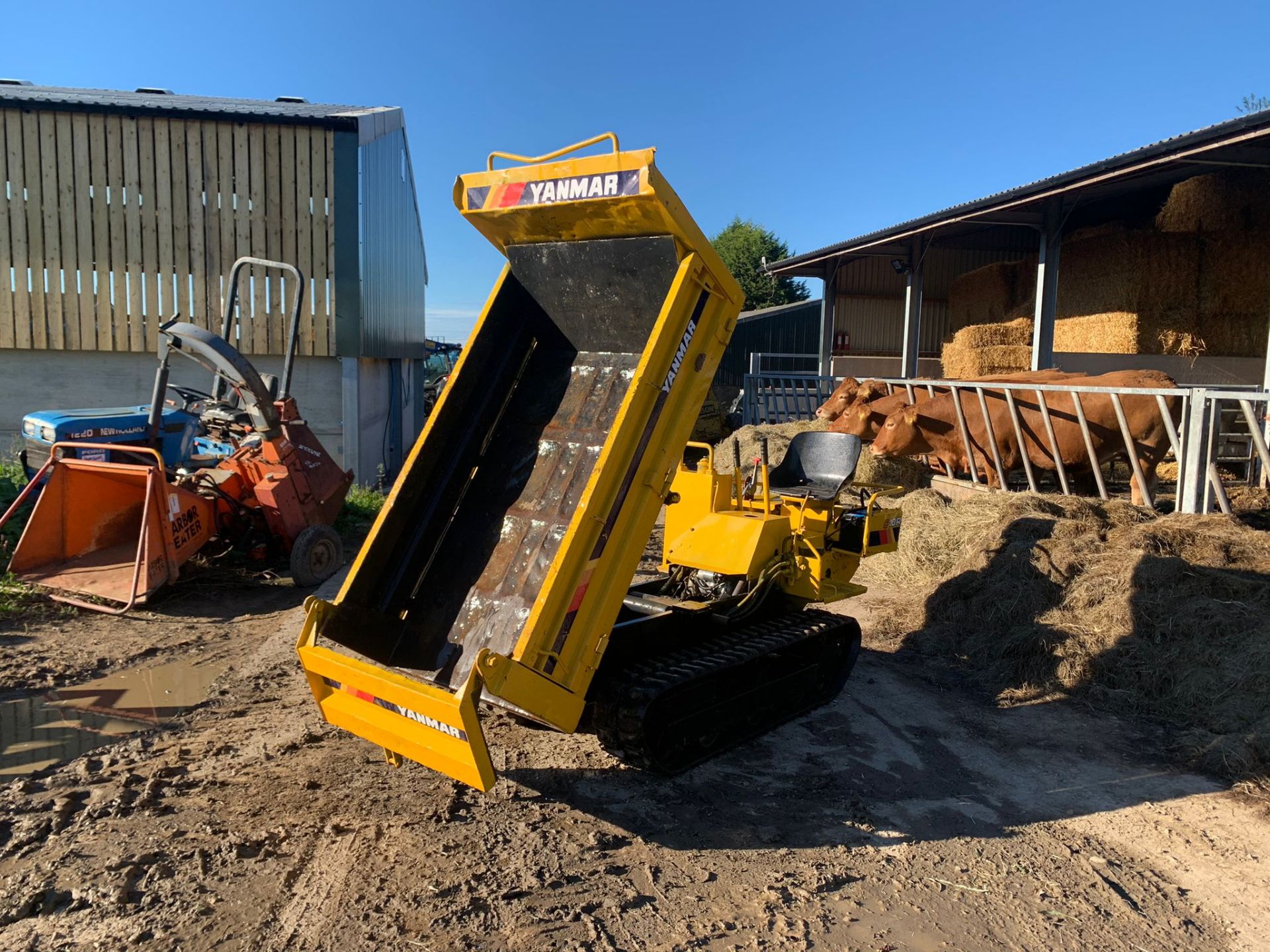 YANMAR C10R 1 TON TRACKED DUMPER, RUNS DRIVES AND TIPS, SHOWING A LOW 1406 HOURS *PLUS VAT* - Image 2 of 9