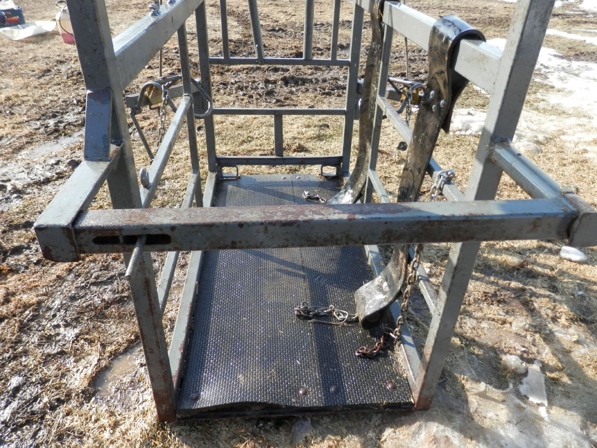 PAULS PEDIGREE PORTABLE HOOF CHUTE - Image 5 of 5