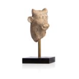 Tête de bovidé légèrement tournée à gaucheStuc Gandhara ? IVe - IIe siècle av. J.C. H. : 6,5cm