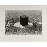 Ahmed MATER (Arabie Saudite 1979)Magnetism II, 2012Photogravure 62 x 81 cm (la planche) 42 x 63