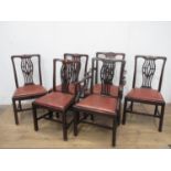 A set of six Georgian style Dining Chairs with pierced splats, drop-in seats on squared supports and