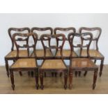 A set of eight William IV rosewood Dining Chairs with carved top rails, cane panelled seats on