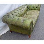 A green leather button upholstered Chesterfield Settee on turned walnut front supports and