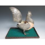 An Indonesian silver and nautilus shell Cockerel with finely detailed plumage, 9 x 11in, under