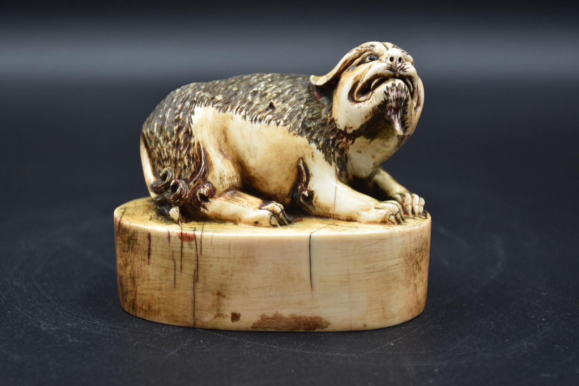 Chinese stamp in carved ivory representing a dog of Fô lying down, inscriptions below. Length : 9,5 
