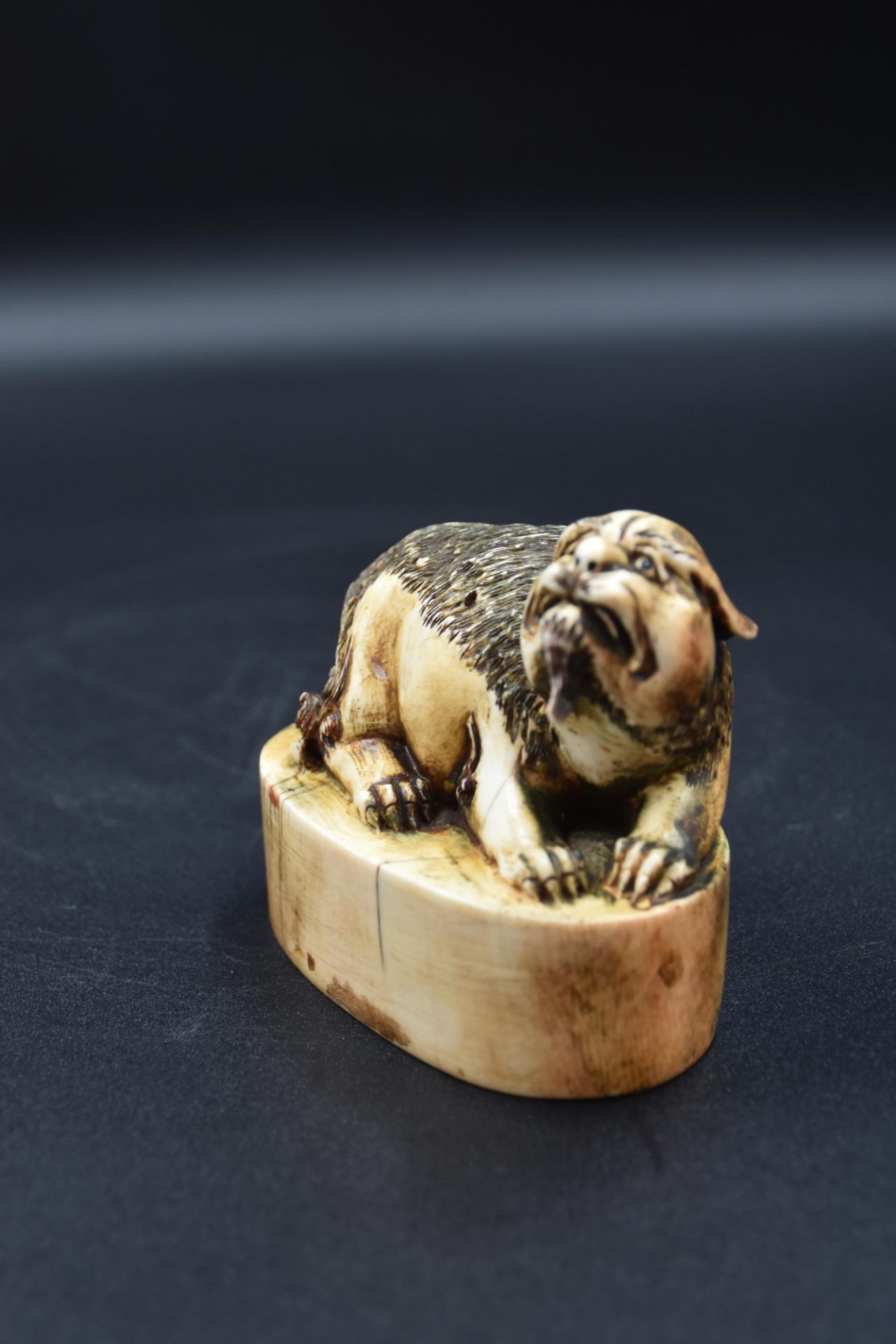 Chinese stamp in carved ivory representing a dog of Fô lying down, inscriptions below. Length : 9,5  - Bild 3 aus 5