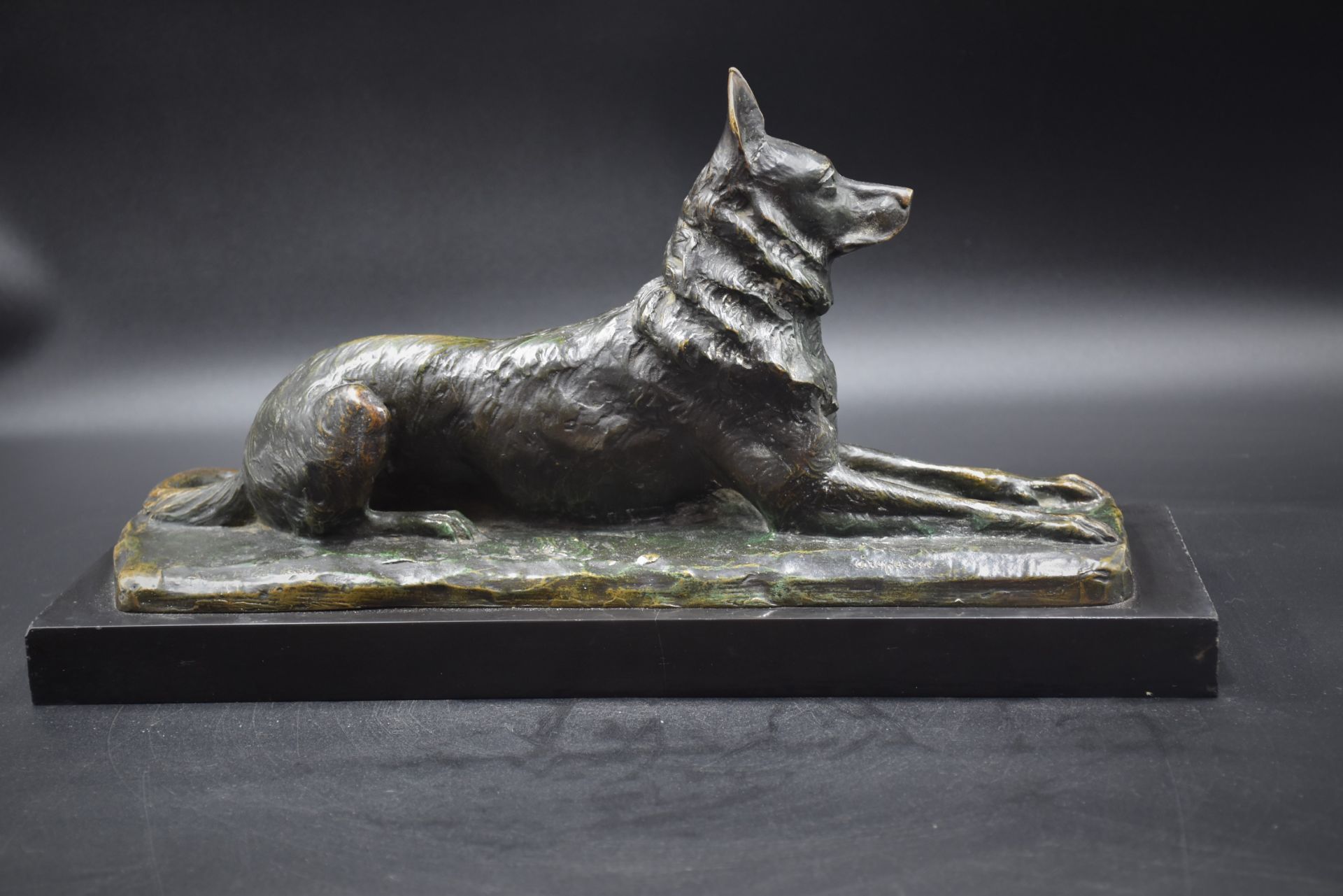 Pierre Nicolas TOURGUENNEFF (1854-1912) Sheepdog lying down. Bronze with green patina. Foundry stamp