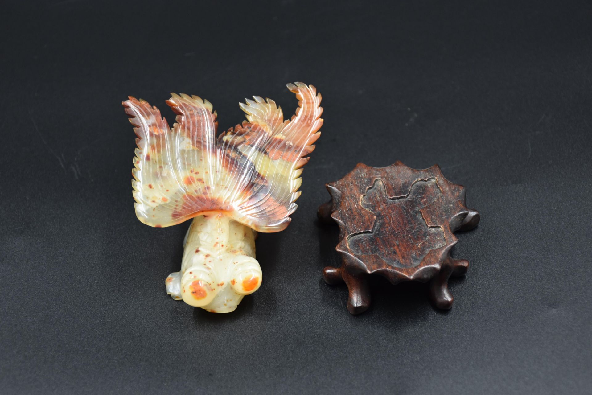 China. Fantastic animal in stone of Jade type on its original wooden base. Small crack to a wing. - Bild 4 aus 5