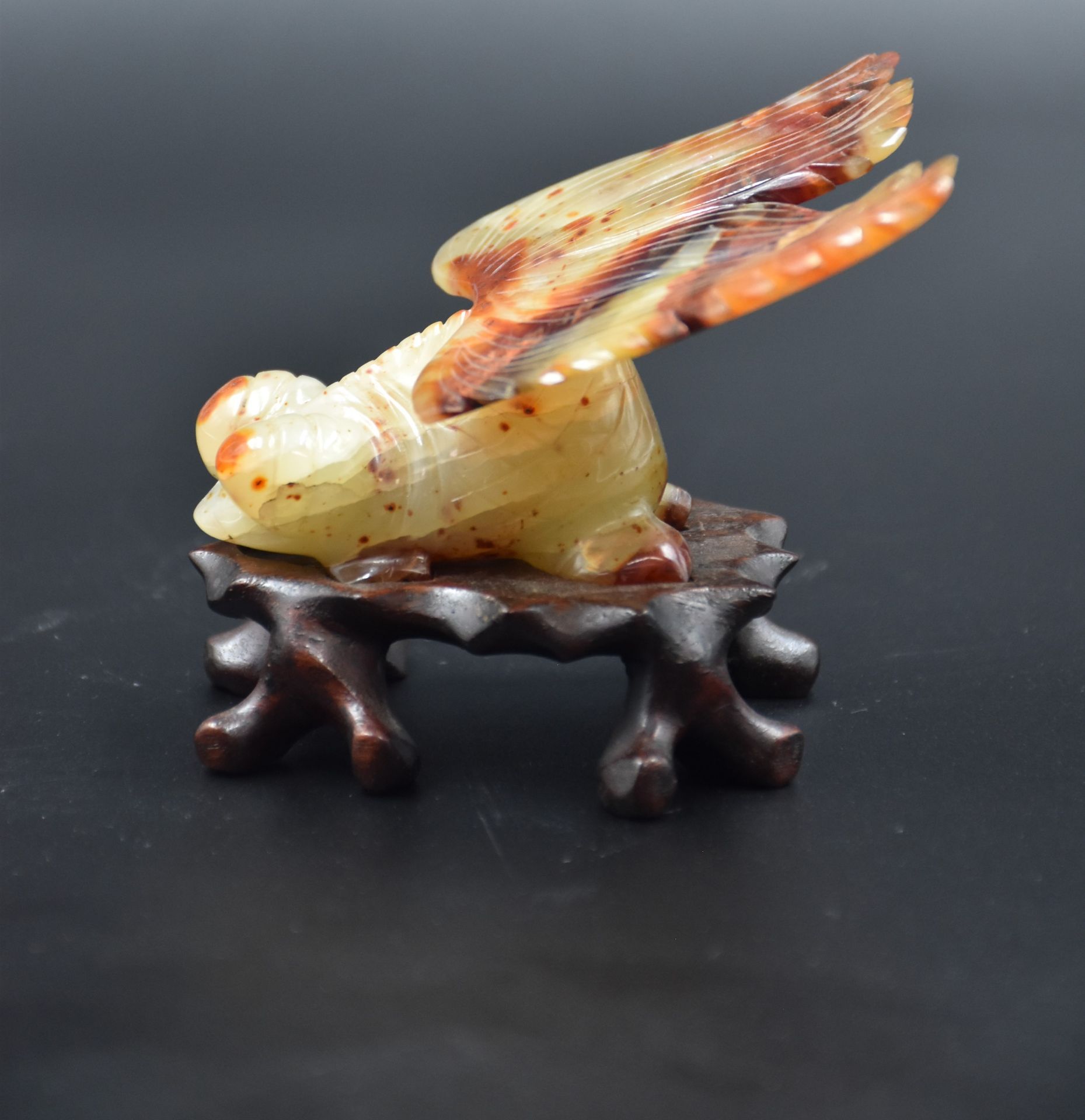 China. Fantastic animal in stone of Jade type on its original wooden base. Small crack to a wing. - Bild 3 aus 5