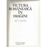 ,PICTURA CONTEMPORANA ROM NEASCA