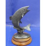 A bronze study of a leaping Salmon on plinth 22cm tall