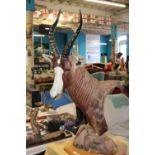 A large taxidermy study of a African Lesbok H105cm W50cm Approx. unable to post