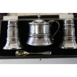 A hallmarked silver cased mustard & condiment set