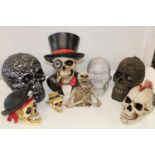 A collection of assorted novelty skulls