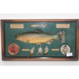 A fishing related display case & contents 52cm x 28cm