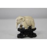 A 19th century carved ivory elephant on a carved wooden stand. 6.5cm x 6cm on stand