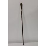 A quality hallmarked silver collared walking cane with brass headed top Collection Only