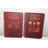 Botanical Interest :Wayside & Woodland Blossoms. Series I & II by Edward Step F.L.S with 127