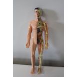 A vintage anatomy figure h28cm