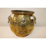 A brass handled coal bucket/planter 25cm tall