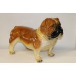 A large ceramic English bull dog figure. 50cm tall x 75cm long