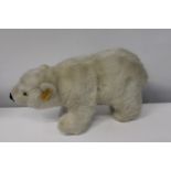A vintage Steiff Polar bear. lengh 38cm
