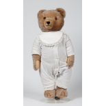 Großer Teddybär