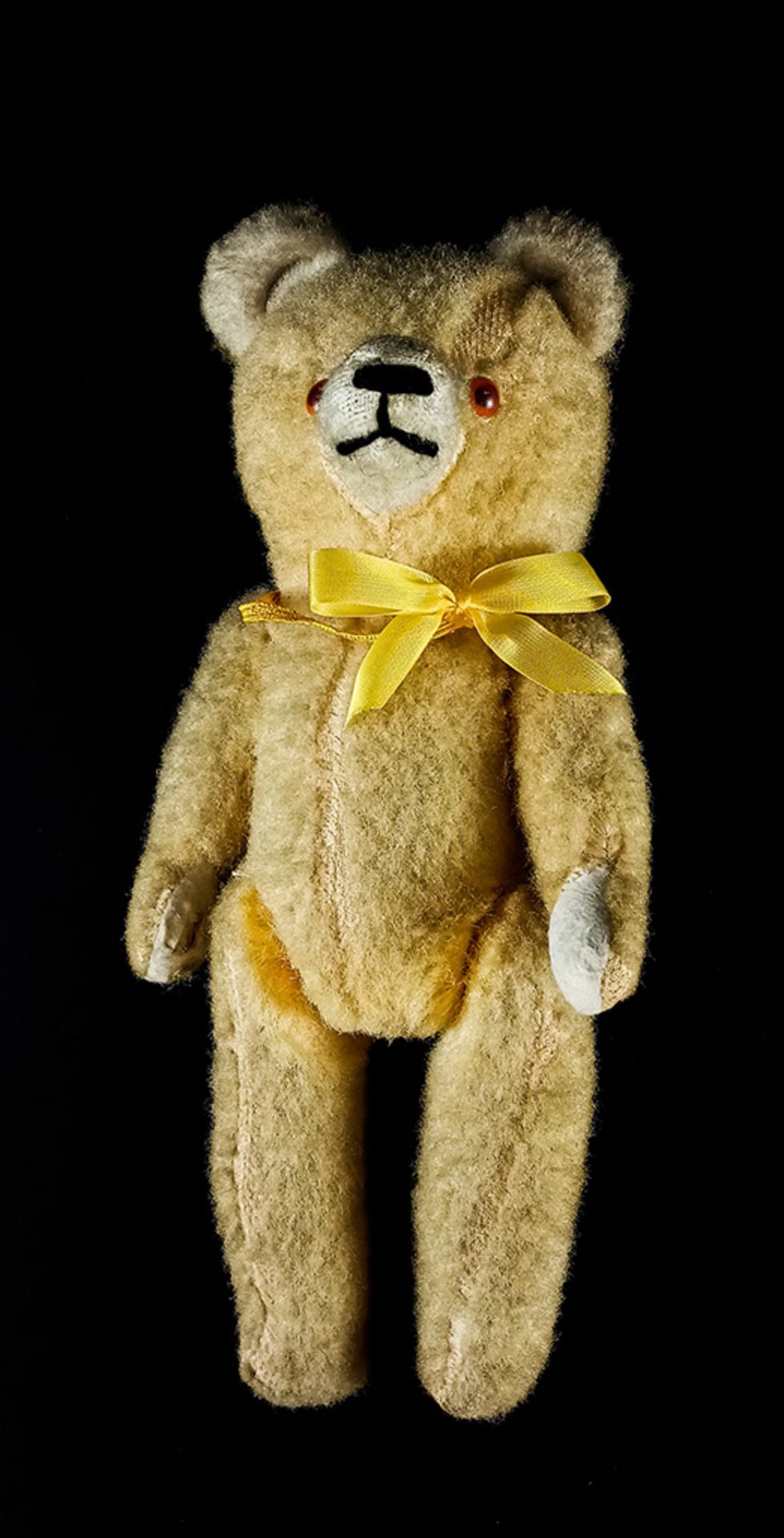 Teddybär.