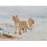 Willy Lorenz. 1901 - Köln - 1981. Sign. Zwei sibirische Tiger im Schnee. Öl/Lwd. 60 x 80 cm. R