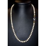 Akoya-Perlenkette. Choker, Perlen Ø 7,5 mm. Schloss 14 ct. WG mit ca. 0,08 ct. Brillanten. L 58 cm