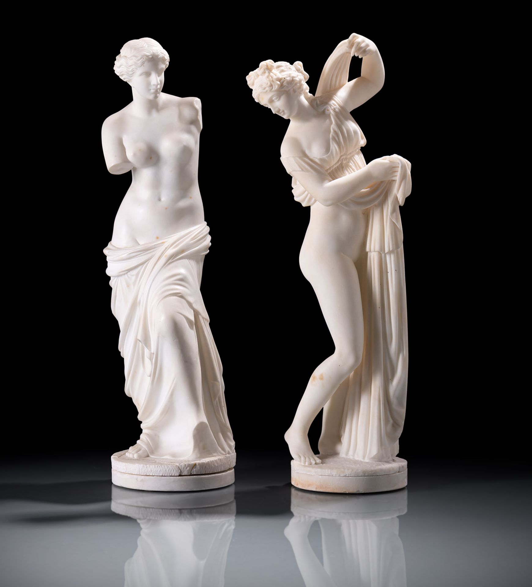 The Venus Callipyge and The Venus Milo - Image 2 of 8
