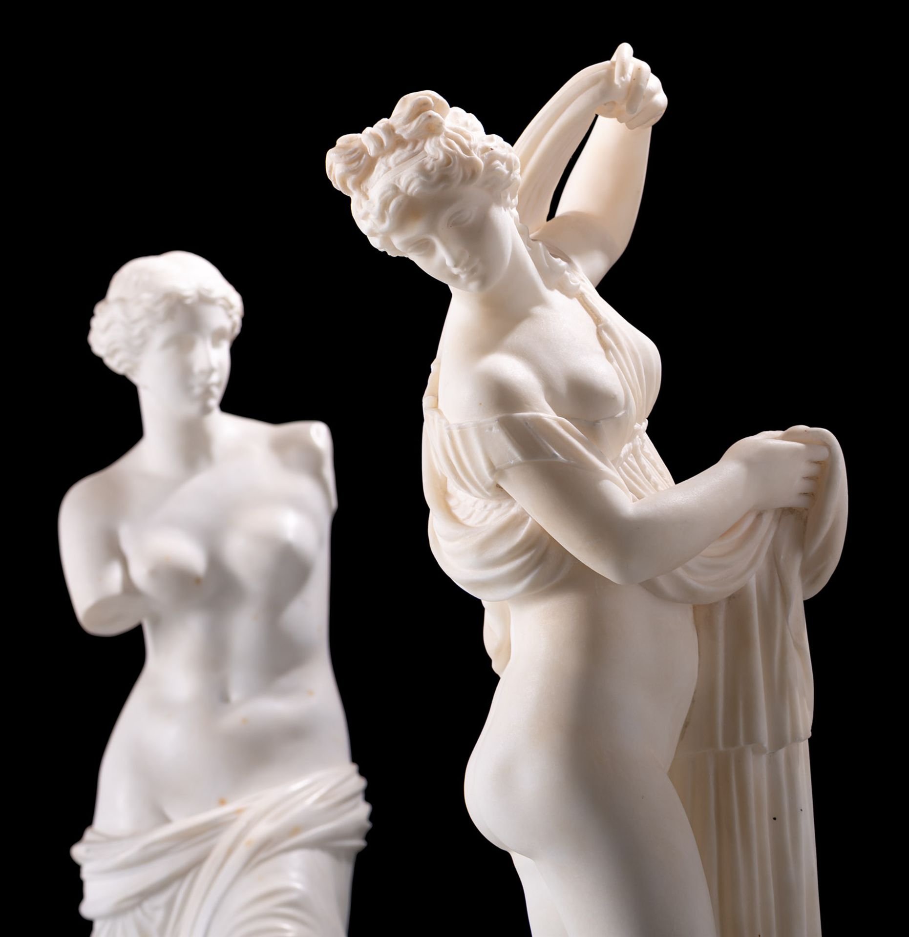 The Venus Callipyge and The Venus Milo - Image 3 of 8
