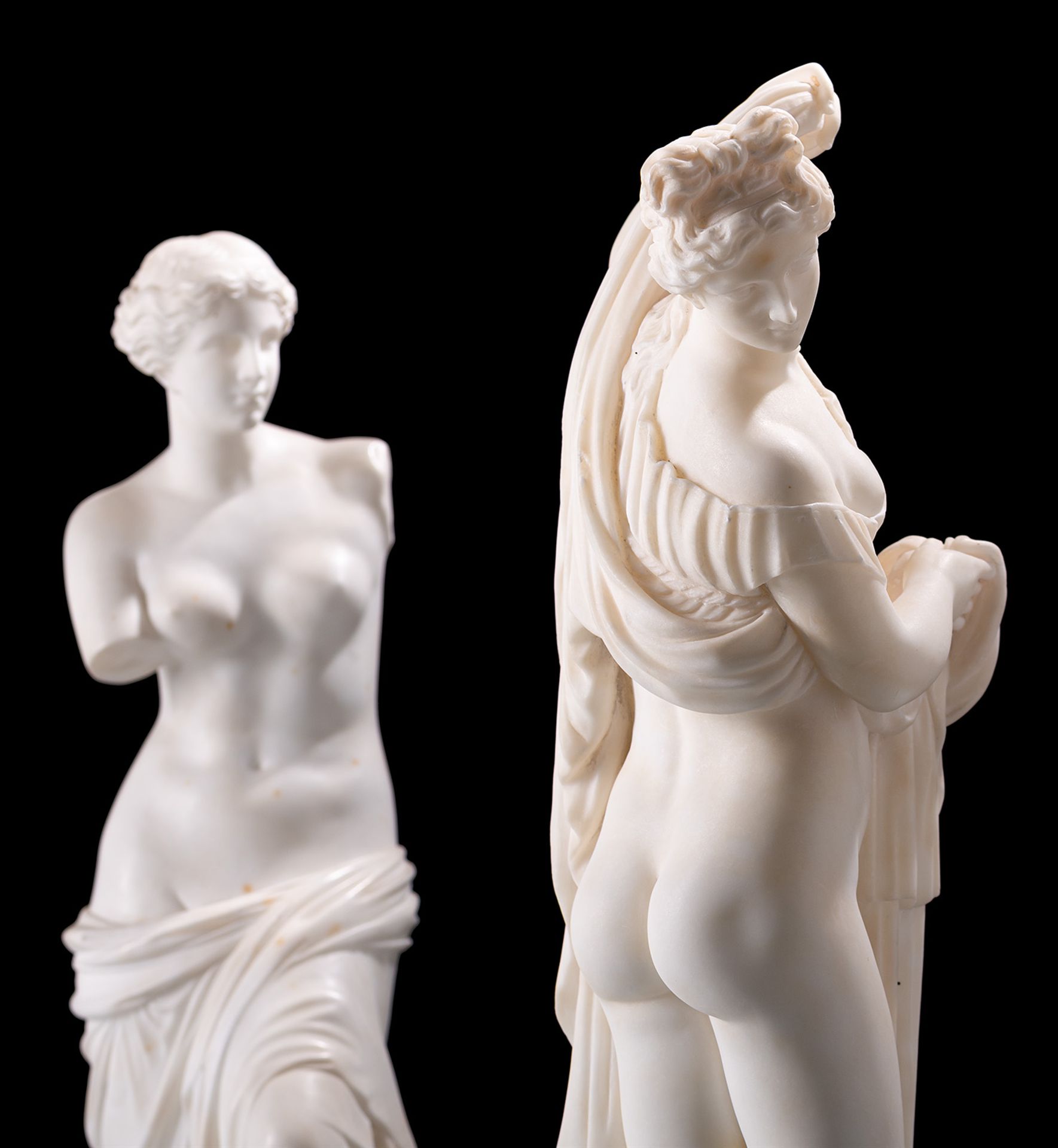 The Venus Callipyge and The Venus Milo - Image 5 of 8