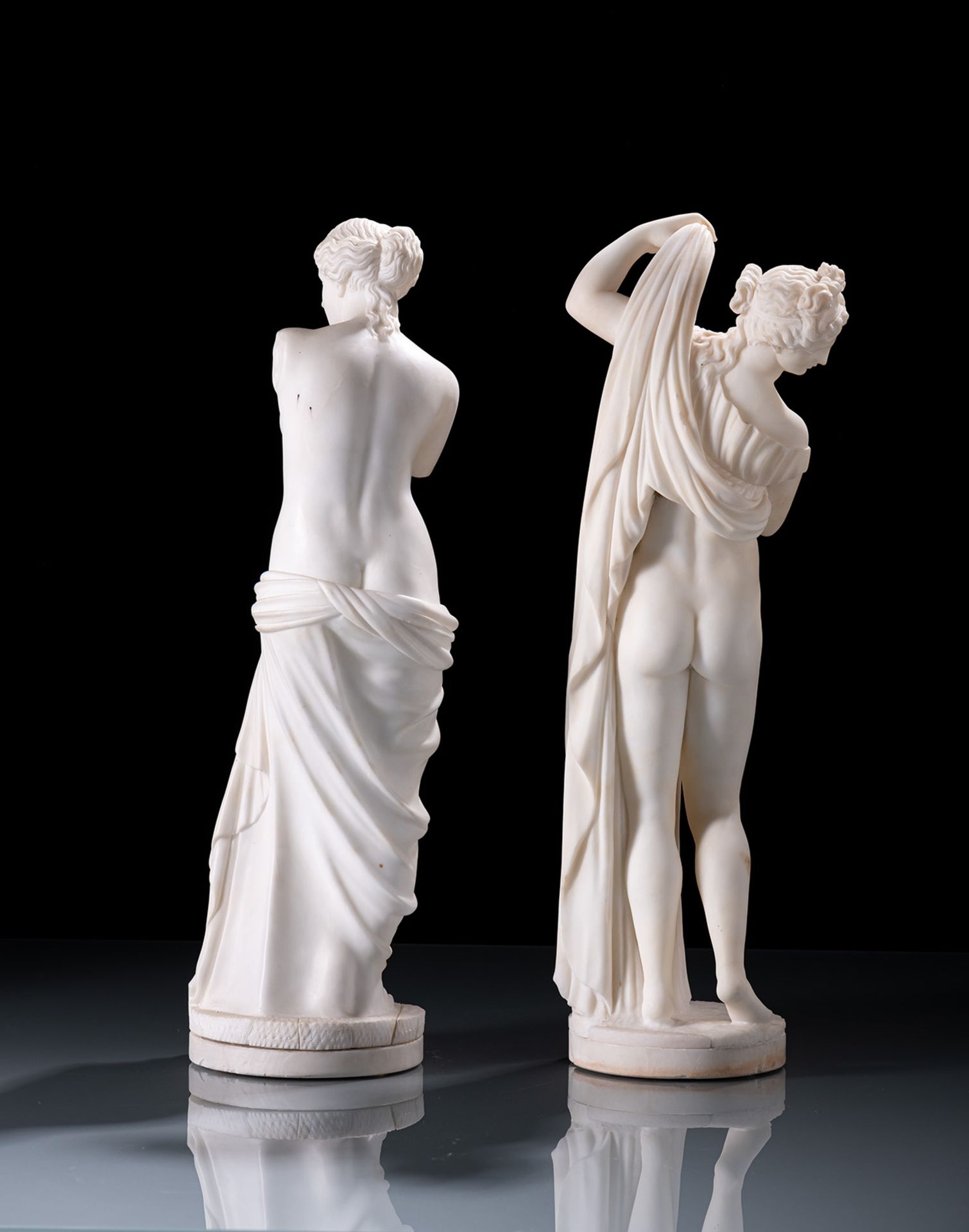 The Venus Callipyge and The Venus Milo - Image 6 of 8