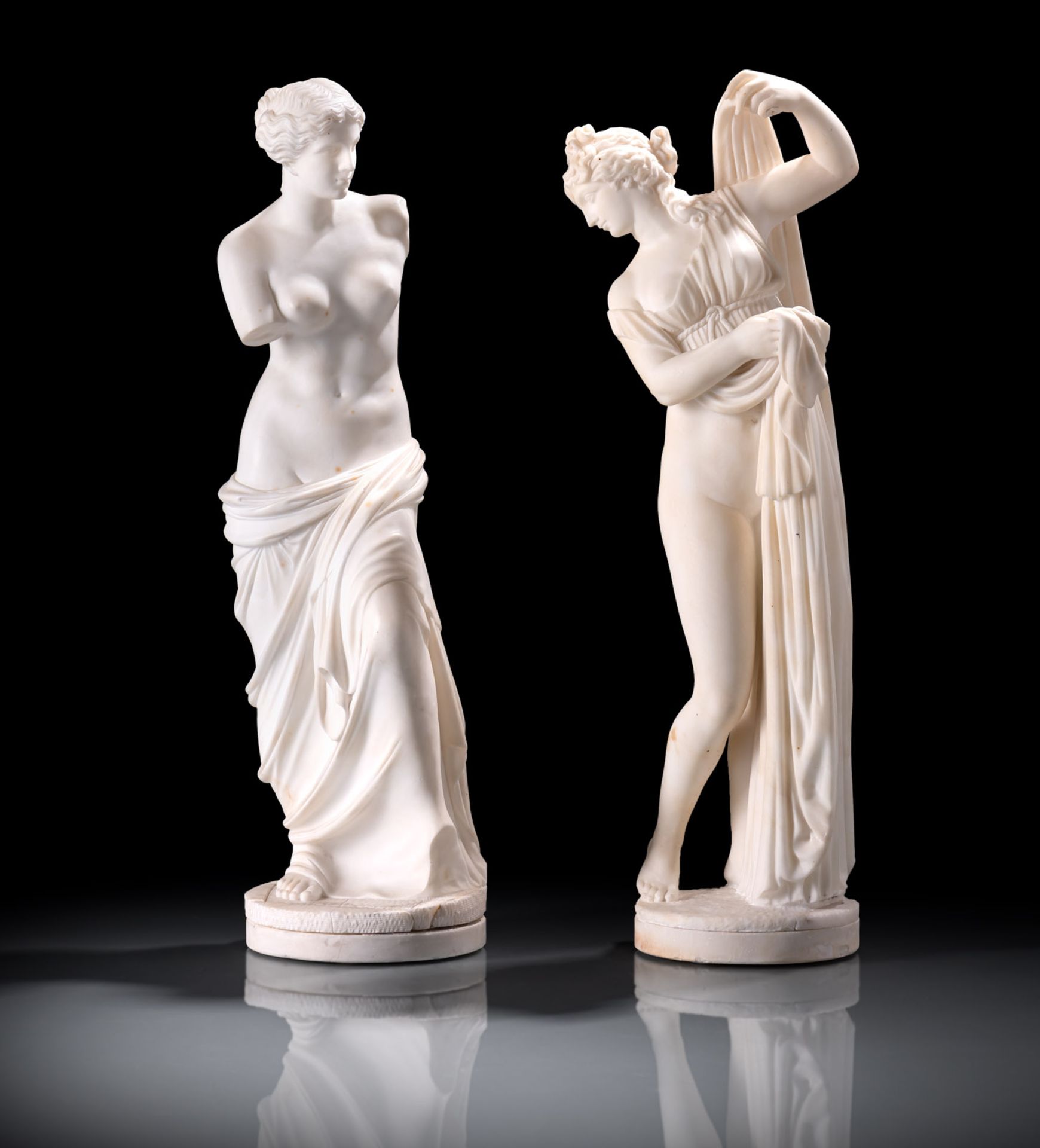The Venus Callipyge and The Venus Milo