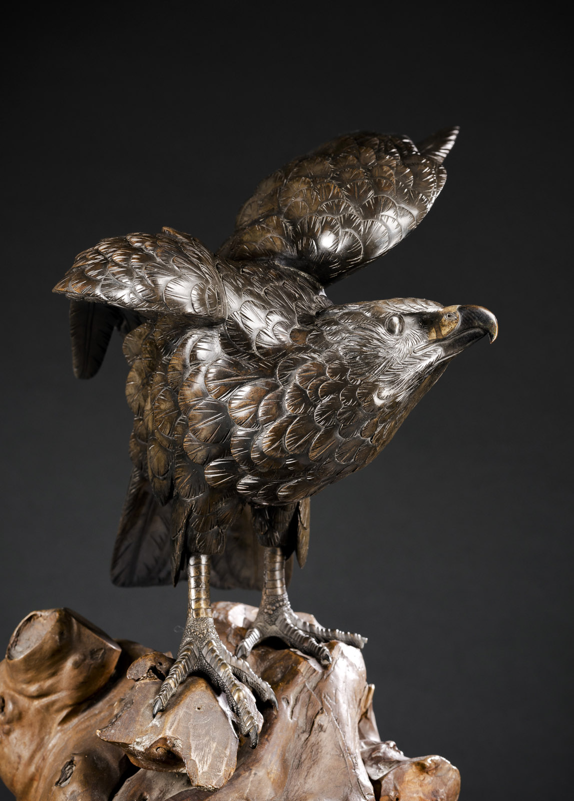 A BRONZE MODEL OF AN EAGLE ON A ROOTWOOD STAND - Image 2 of 12