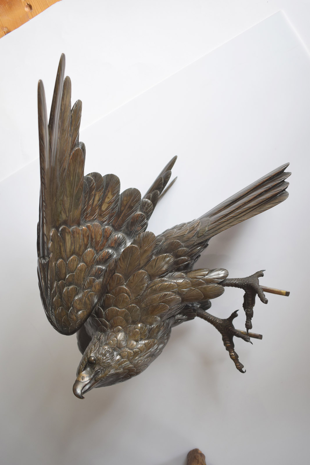 A BRONZE MODEL OF AN EAGLE ON A ROOTWOOD STAND - Image 11 of 12