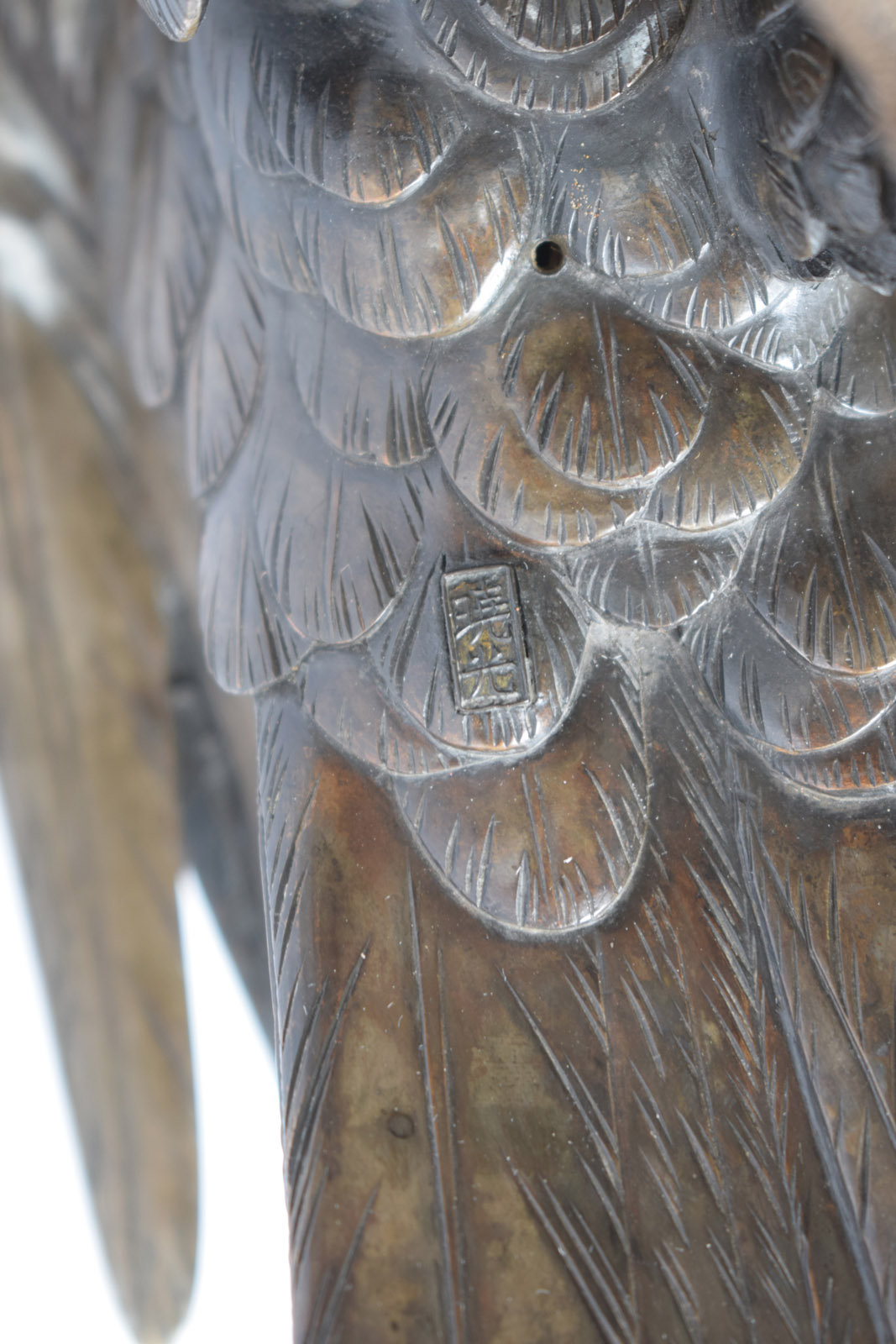 A BRONZE MODEL OF AN EAGLE ON A ROOTWOOD STAND - Image 9 of 12