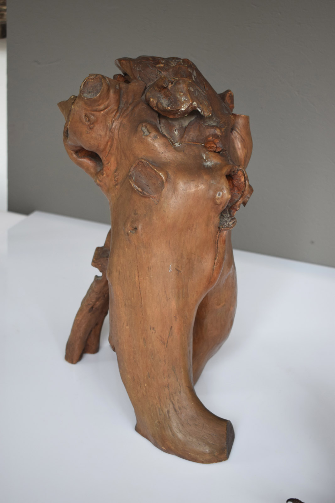 A BRONZE MODEL OF AN EAGLE ON A ROOTWOOD STAND - Image 12 of 12