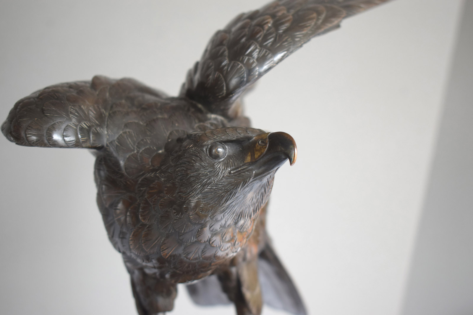 A BRONZE MODEL OF AN EAGLE ON A ROOTWOOD STAND - Image 4 of 12