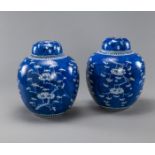 Paar Deckelvasen aus Porzellan mit blau-weißem Pflaumenblütendekor