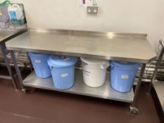 Stainless Steel Mobile Prep Station