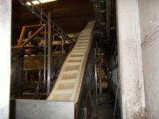 Arnott conveyor