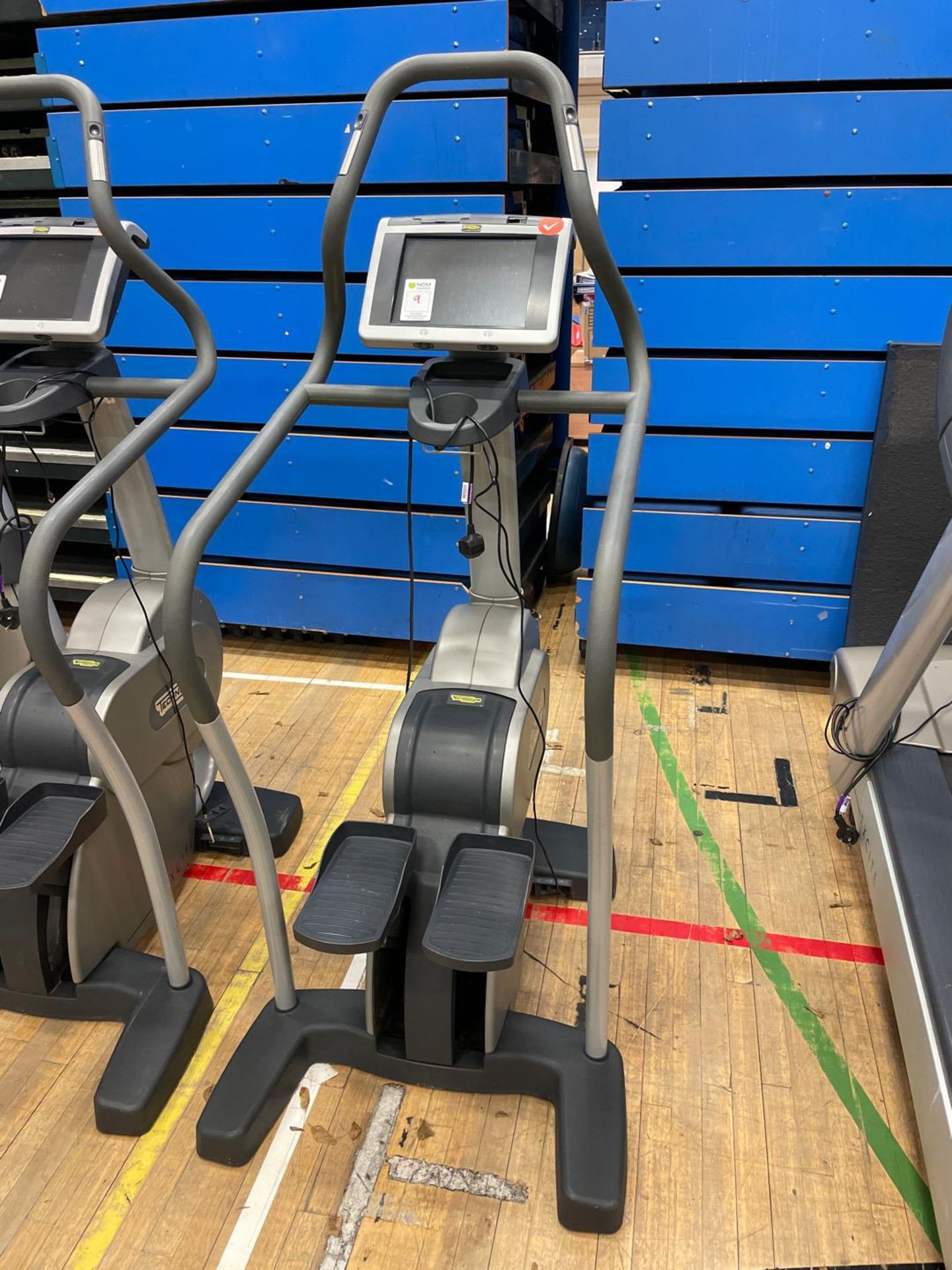 Technogym High Stepper