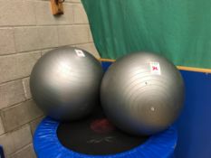 Gym balls x 2