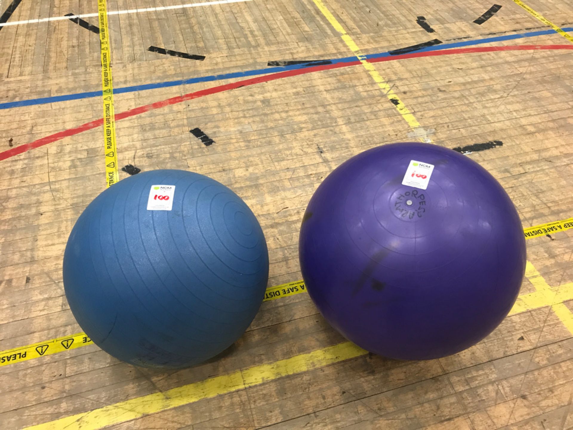 Gym balls x 2