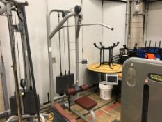 Technogym lat pull down machine